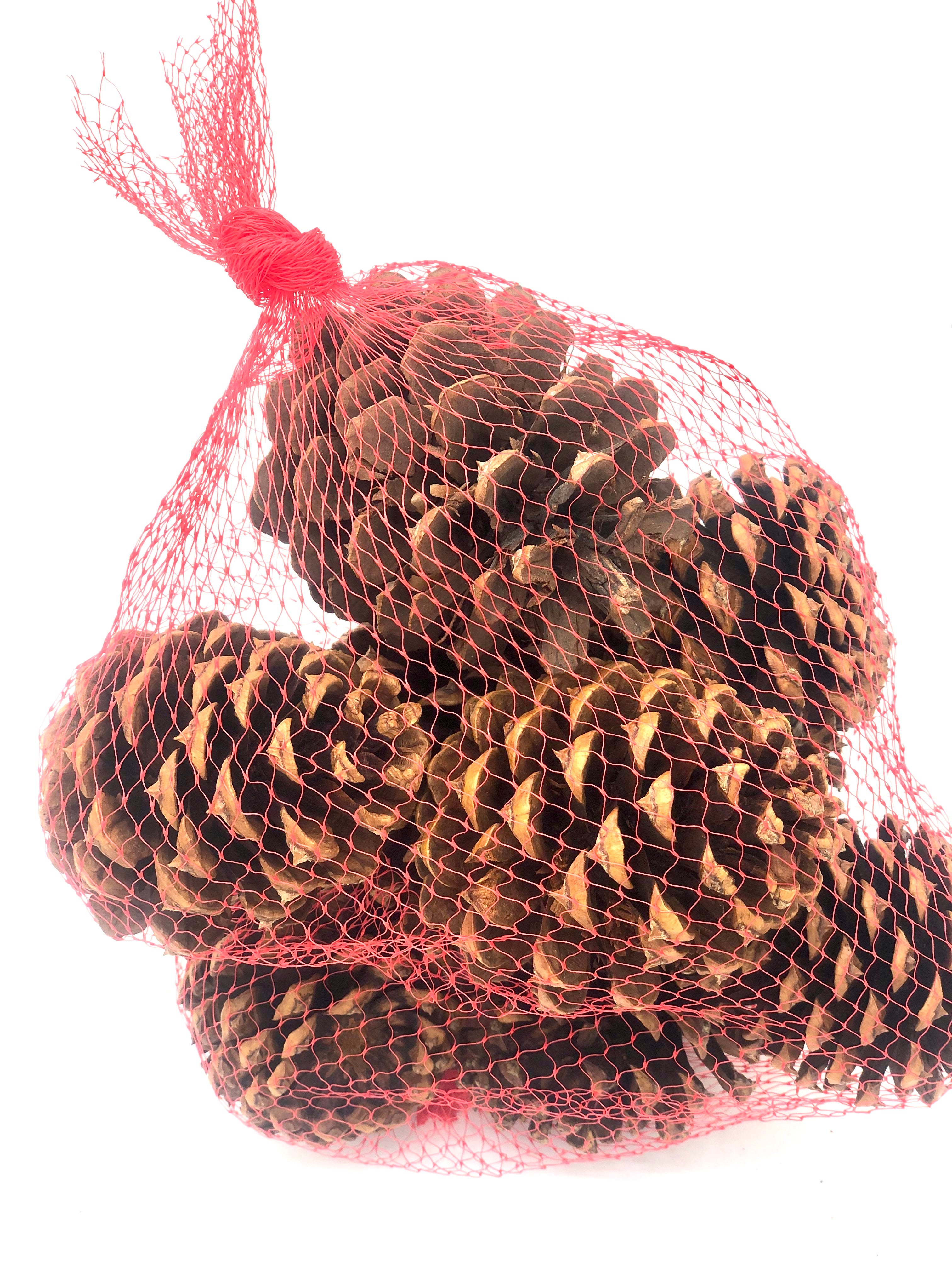 Pine cones cinnamon scented